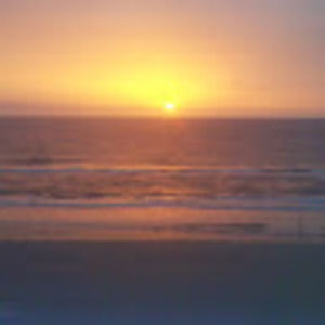 Meet your Posher, Jacklyn